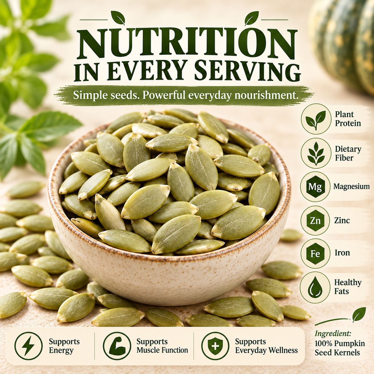 Premium Pumpkin Seed Kernels — Pure Plant Nutrition for Everyday Wellness-BFH