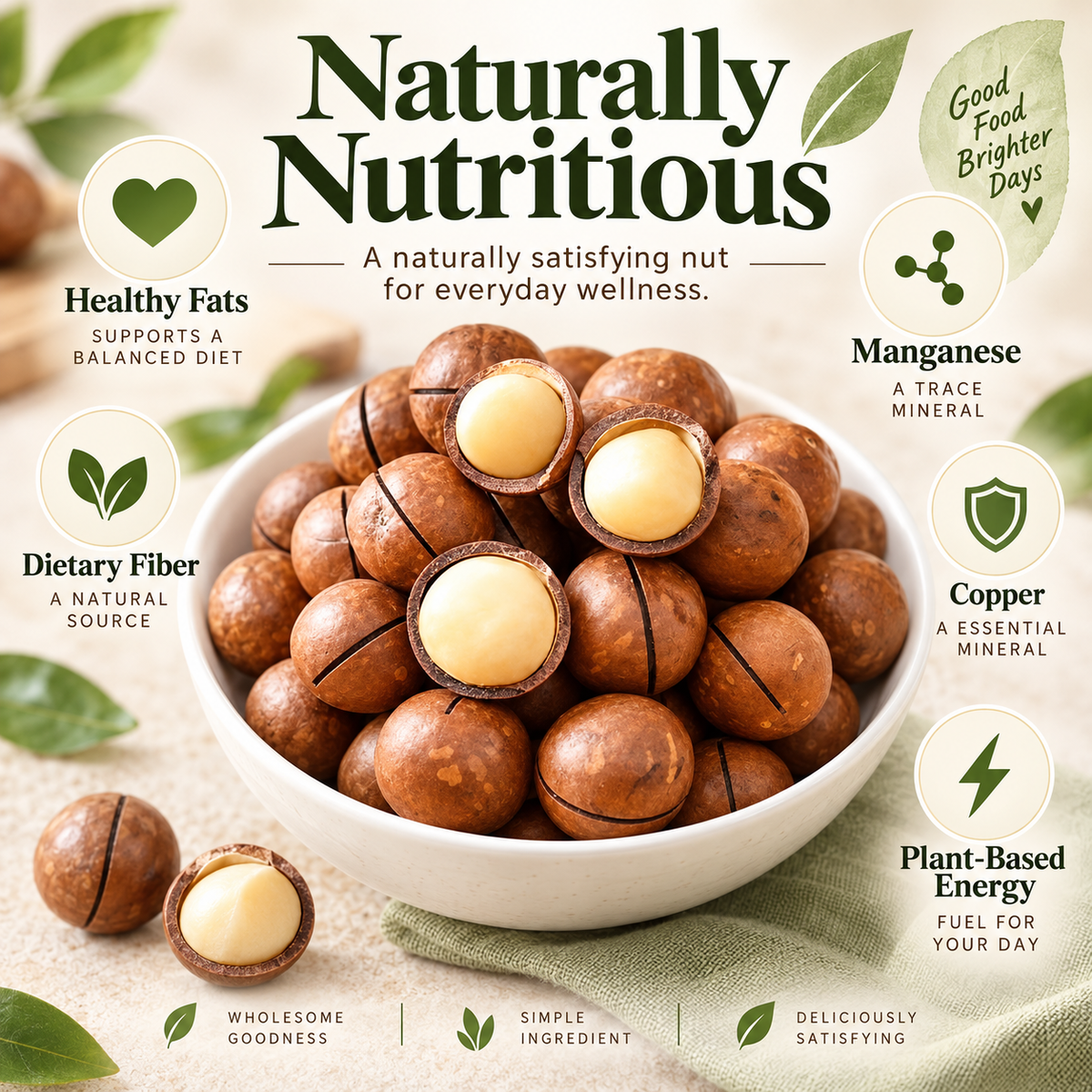 Premium Macadamia Nuts - From Nature’s Finest Orchards to Your Everyday Wellness-BFH